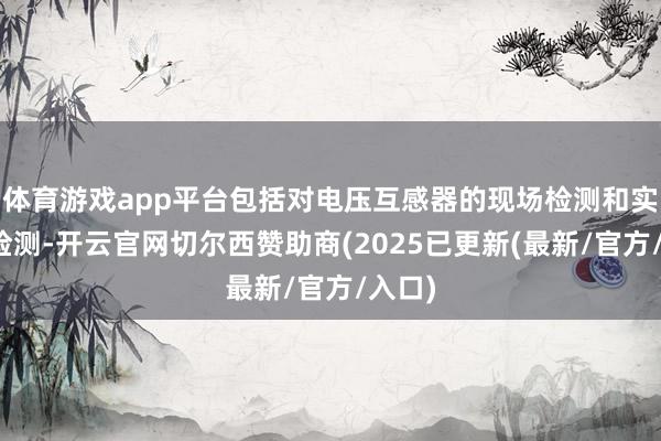 体育游戏app平台包括对电压互感器的现场检测和实验室检测-开云官网切尔西赞助商(2025已更新(最新/官方/入口)