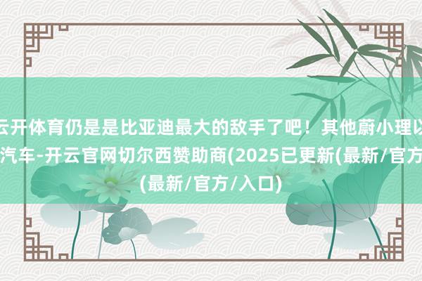 云开体育仍是是比亚迪最大的敌手了吧！其他蔚小理以及零跑汽车-开云官网切尔西赞助商(2025已更新(最新/官方/入口)