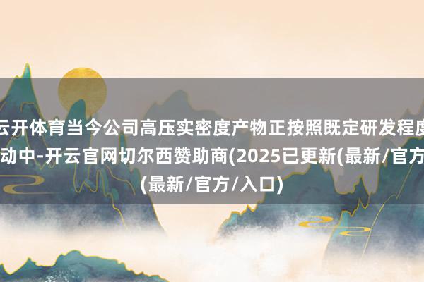 云开体育当今公司高压实密度产物正按照既定研发程度有序激动中-开云官网切尔西赞助商(2025已更新(最新/官方/入口)