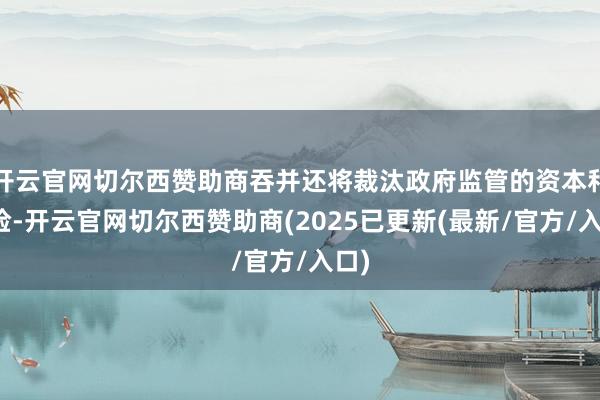 开云官网切尔西赞助商吞并还将裁汰政府监管的资本和风险-开云官网切尔西赞助商(2025已更新(最新/官方/入口)
