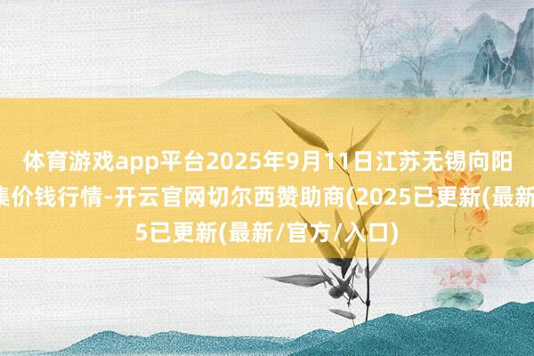 体育游戏app平台2025年9月11日江苏无锡向阳农产物大市集价钱行情-开云官网切尔西赞助商(2025已更新(最新/官方/入口) 体育游戏app平台2025年9月11日江苏无锡向阳农产物大市集价钱行情-开云官网切尔西赞助商(2025已更新(最新/官方/入口)