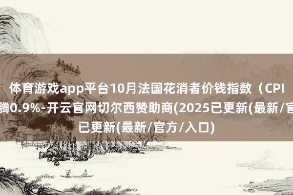 体育游戏app平台10月法国花消者价钱指数(CPI)同比飞腾0.9%-开云官网切尔西赞助商(2025已更新(最新/官方/入口)