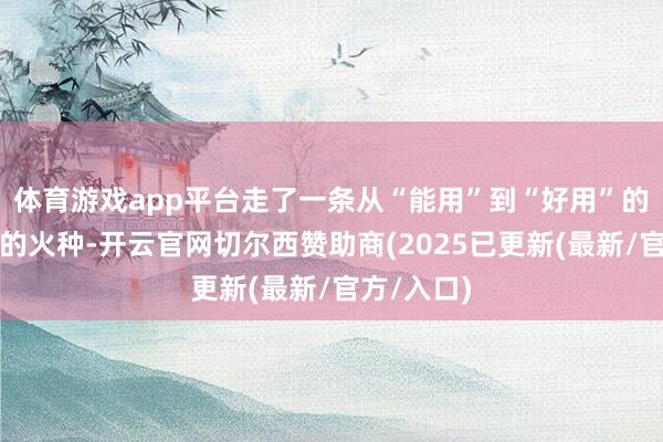 体育游戏app平台走了一条从“能用”到“好用”的硬路故事的火种-开云官网切尔西赞助商(2025已更新(最新/官方/入口)