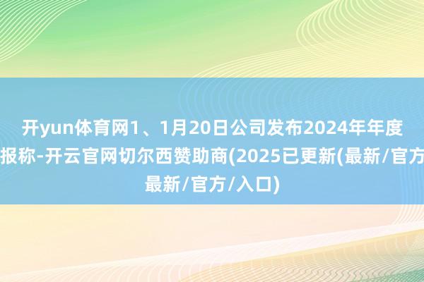 开yun体育网1、1月20日公司发布2024年年度事迹预报称-开云官网切尔西赞助商(2025已更新(最新/官方/入口)