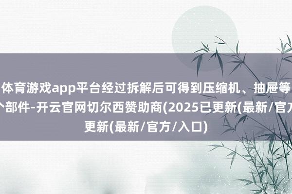 体育游戏app平台经过拆解后可得到压缩机、抽屉等近100个部件-开云官网切尔西赞助商(2025已更新(最新/官方/入口)