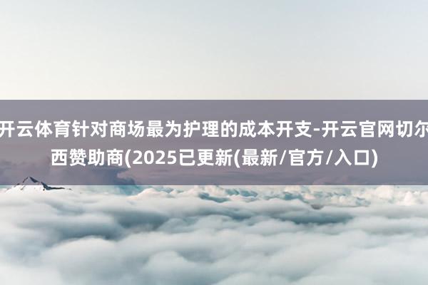 开云体育针对商场最为护理的成本开支-开云官网切尔西赞助商(2025已更新(最新/官方/入口)